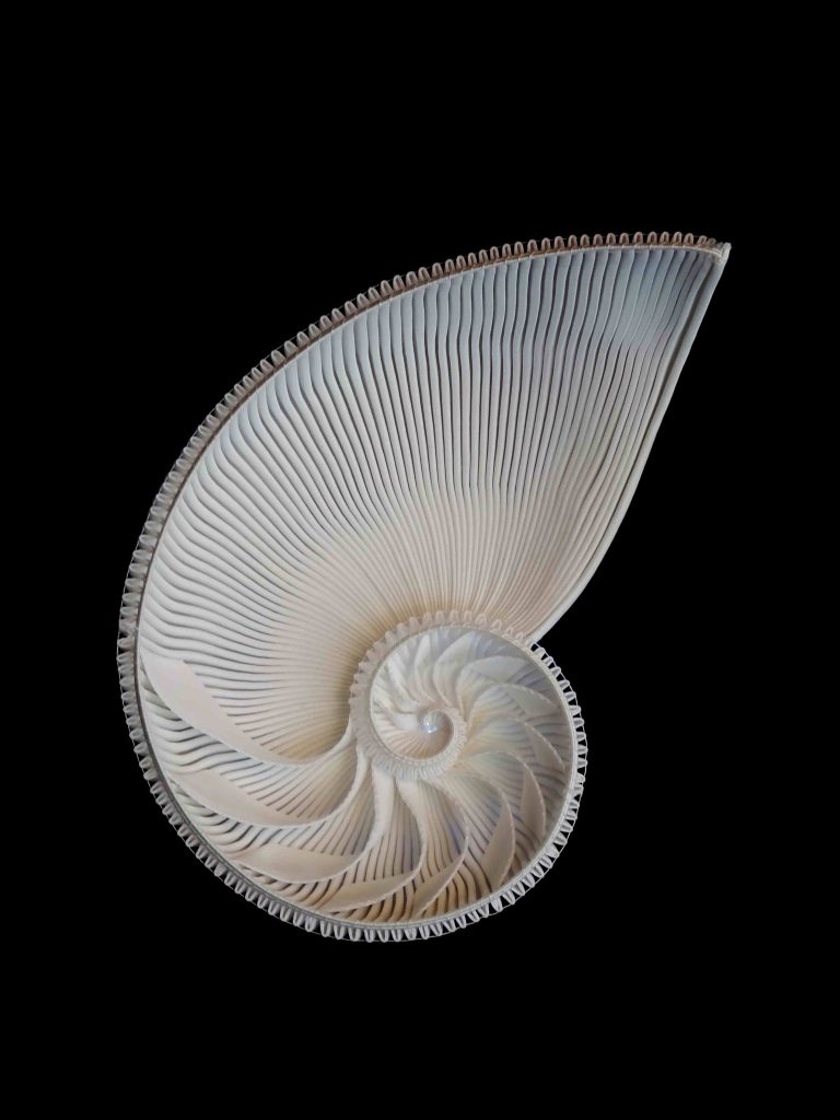 Évolution, sculpture textile par Mélanie Nitting.