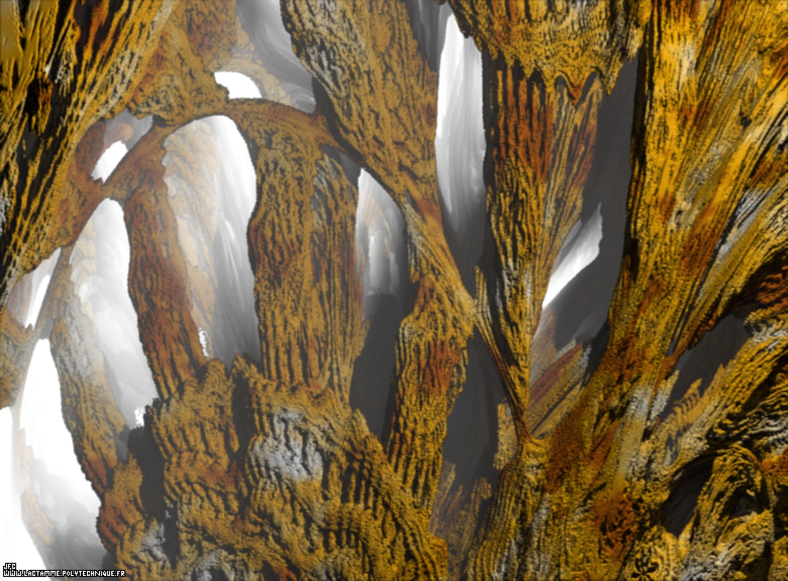 Visualisation d’une coupe tridimensionnelle d’un détail d’un ensemble de Mandelbrot de degré 8 ; par Jean-François Colonna.