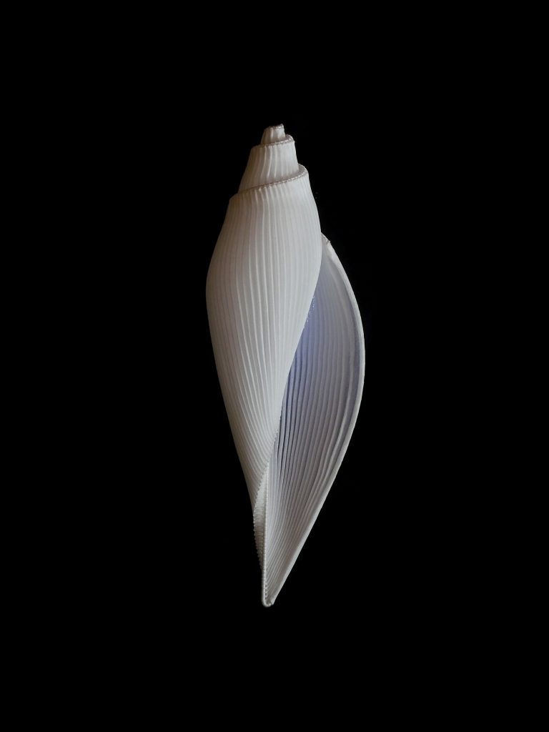 Variation G-33, sculpture textile par Mélanie Nitting.